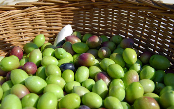 Green Olives in Basket