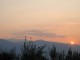 DSC_0003 (2)