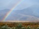 DSC_0039 (5)