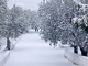 IE-03339_120203-2