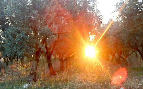Sunrise3