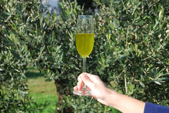 Eliris organic fresh olive oil Harvest 2015