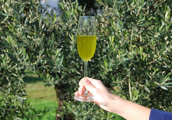 Eliris organic fresh olive oil Harvest 2015