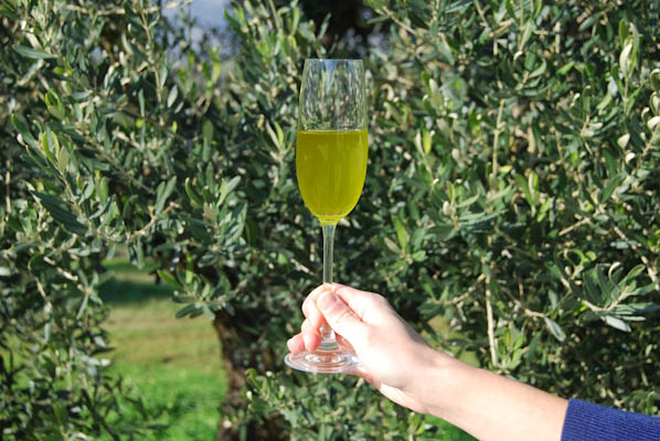 Eliris organic fresh olive oil Harvest 2015